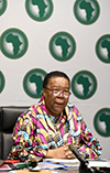 Opening Remarks by Minister Naledi Pandor at the 38th Ordinary Session of the African Union (AU) Executive Council, Pretoria, South Africa, 3-4 February 2021.