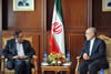 Deputy Minister Ebrahim Ebrahim with the Foreign Minister of Iran, Mr Ali Akbar Salehi, Islamic Republic of Iran, 16-18 April 2013.