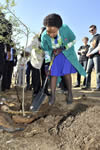 Minister Maite Nkoana-Mashabane plants a tree at the Diepsloot Combined School for Nelson Mandela Day, Diepsloot, South Africa, 22 July 2013.