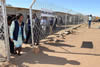 Minister Maite Nkoana-Mashabane in her capacity as SADC Electoral Observation Mission Chair to Namibia, visits polling stations at a school in an informal settlement and one closer to the city, Windhoek, Namibia, 28 November 2014.