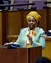 Budget Vote Speech by Minister Maite Nkoana-Mashabane, Cape Town, South Africa, 25 May 2017.